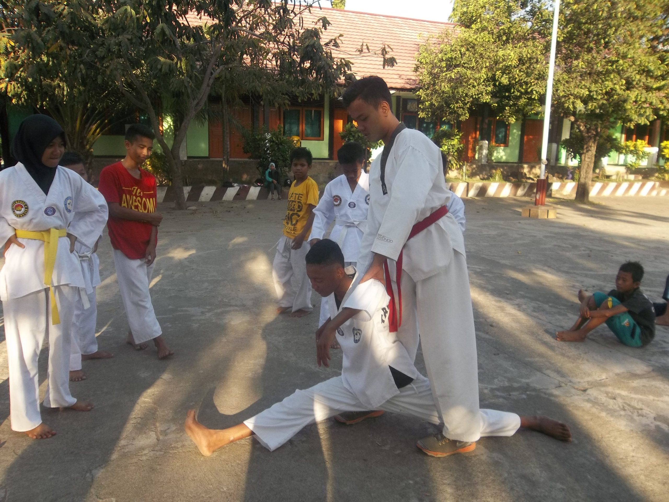 Taekwondo